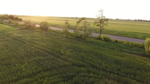 Aerial Shot of a Narrow Highway Going Among Green Fields in Summer in Slo-mo 