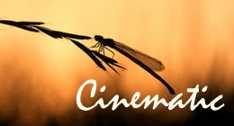 Cinematic