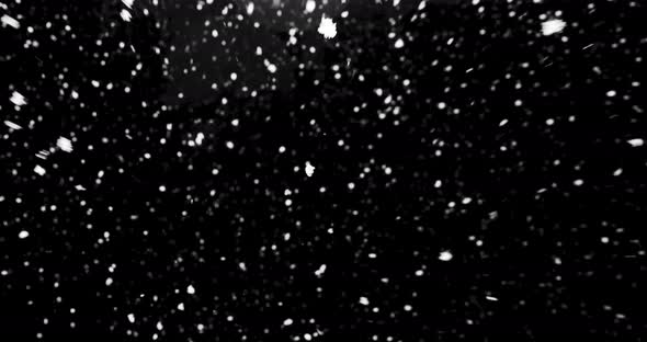 Real Snow Falling Isolated Against Black Background alt