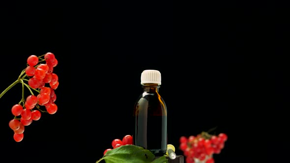 Medicinal Tincture Of Rowan Berries On A Black Background Copy Space. Homeopathy Herbal Treatment