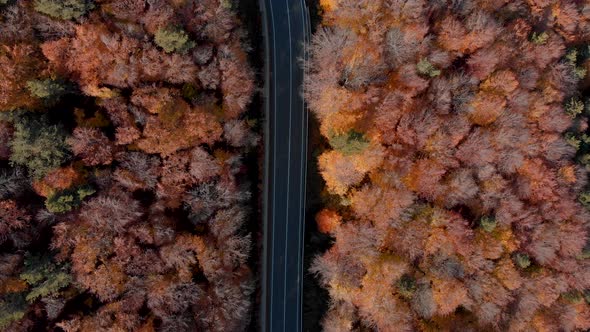 Traffic over a mountain road in Lepsa, Romania alt