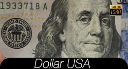 Dollar USA Collection