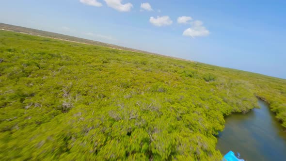 People on ecotourism platform along river crossing mangrove forest in El Morro National park, Montec alt
