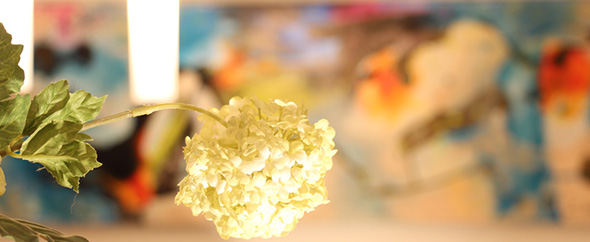 Hiilite envato profile 590x242