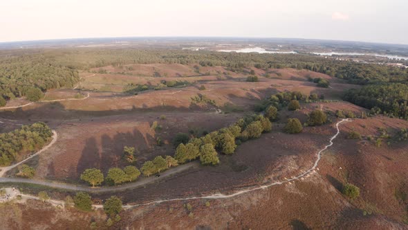 Hilly walking area in forested National Park Veluwezoom. alt