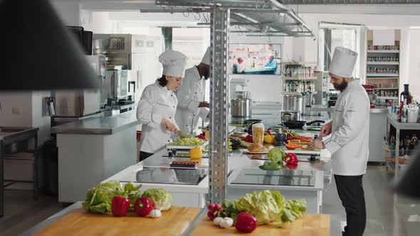 Professional People Cooking Gourmet Cuisine Meal in Kitchen alt