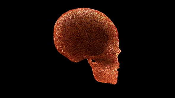 Crystal Carved Skull alt