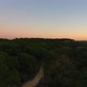Sunset Cliff Forest - VideoHive Item for Sale