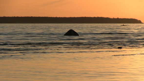 Beach And Sea With A Sunset 6