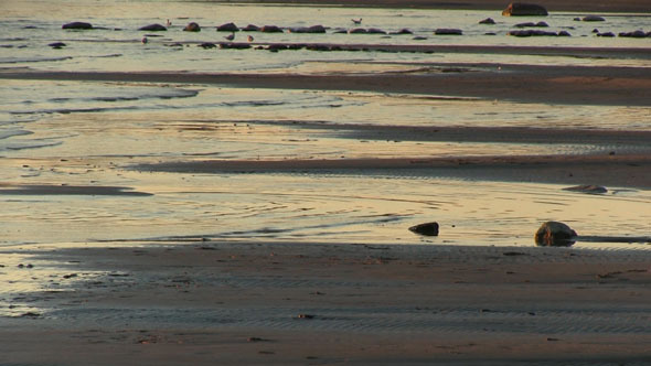 Beach And Sea With A Sunset 4