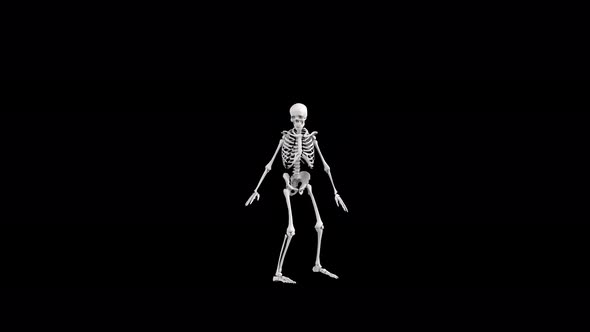 Skeleton Dance 09