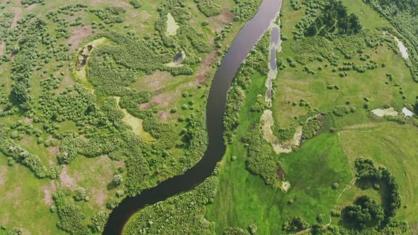 Aerial View Green Forest Woods And River Landscape In Spring Summer Day alt