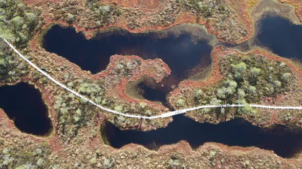 Drone aerial view to Estonian bog