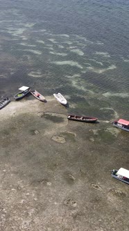 Tanzania  Vertical Video of Low Tide in the Ocean Near the Coast of Zanzibar Slow Motion alt