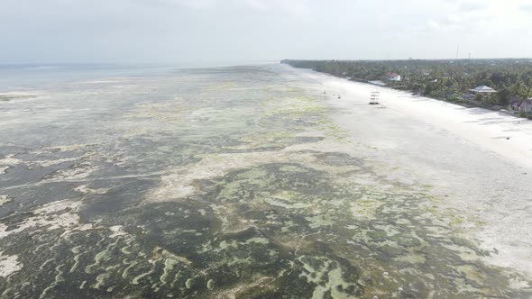 Zanzibar Tanzania  Low Tide in the Ocean Near the Shore alt