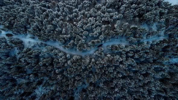 Drone Hovering Above Road in a Frozen Pine Forest