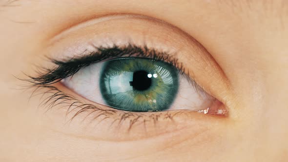 Eye of Child Looking at Camera alt