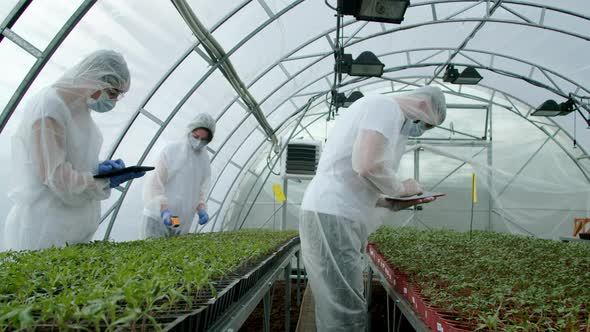 Farmers Checking Plants in Greenhouse