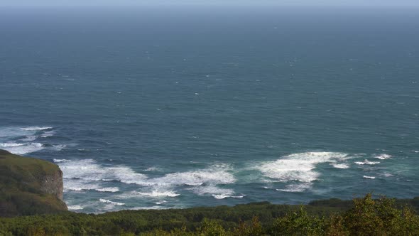 Stunning Autumn Pacific Coast Seascape: Waves in Ocean, Shore Overgrown Forest