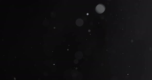 Floating Abstract Particle Bokeh on Dark Background alt