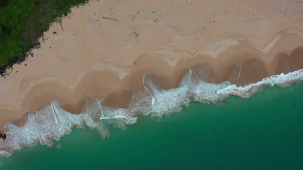 AH - Indonesian Tropical Paradise 04 alt