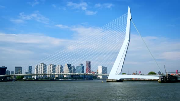 Rotterdam Cityscape alt