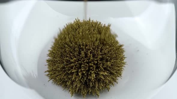 An Hourglass Made of Metal Magnetic Yellow Shavings Creates the Shape of a Hedgehog Symbolizing the