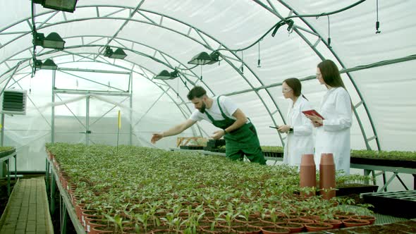 Farmer Showing Growing Crops To Scientists