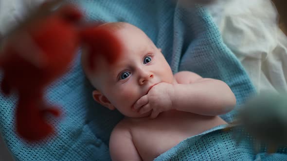 Little Cute Causian Baby Boy Smiling at Camera Boy Looks at the Toy and is Delighted alt