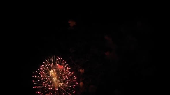 Colorful Bright Fireworks in Dark Sky at Night  Holiday Concept  Slow Motion