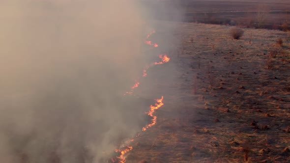 Epic Aerial View of Smoking Wild Fire alt