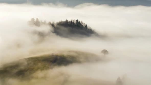 Magic Misty Morning over Forest and Meadow Country Nature alt
