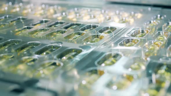 Yellow Capsules in Blisters Move on a Line. Medication Production Line at a Pharmaceutical Facility alt