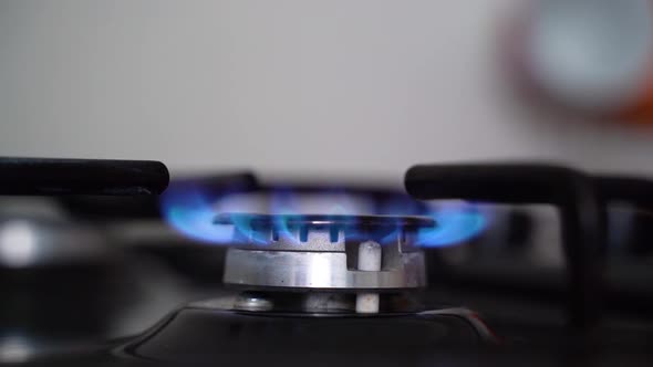 Gas Stove. Gas Stove Burner Comes On. Blue Flame. Slow Motion alt
