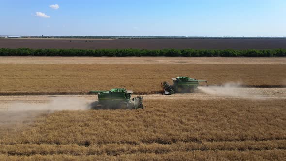 The Combine Harvester Harvests In The Field. From A Bird's Eye View alt