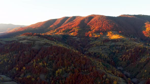 Mountain Highlands with Trees in Autumn Forest at Sunrise alt