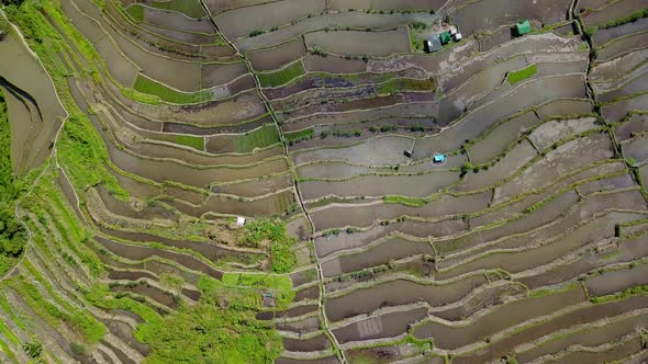 Small Community Surrounded By The Famous Banaue Rice Terraces In Ifugao Philippines alt