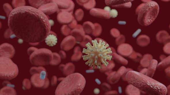 4K Virus in Blood stream / Prores422 HQ