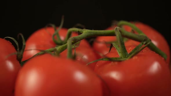 Ripe Fresh Tomatoes Branch Lies On Red Plate On The Table
