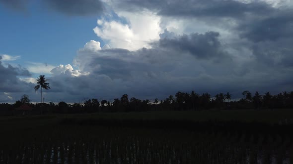 Evening time lapse of big clouds running on blue sky over rice field and palm trees, Bali Indonesia