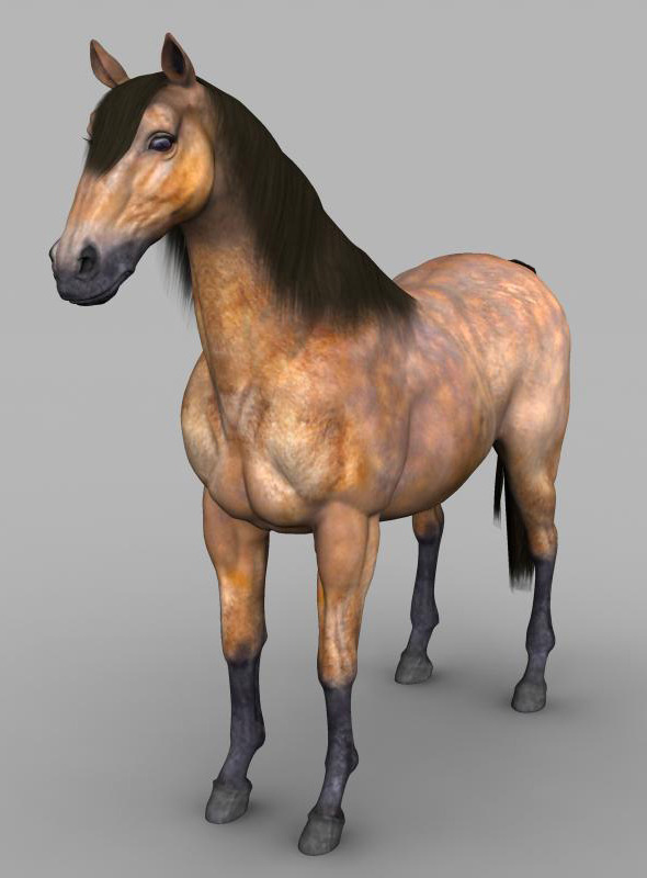 Realistic Muscular Horse - 3Docean 7701407