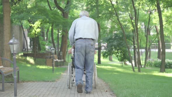 Back View of Old Man Running with Wheelchair Along the Alley As Happy Disabled Woman Stretching alt