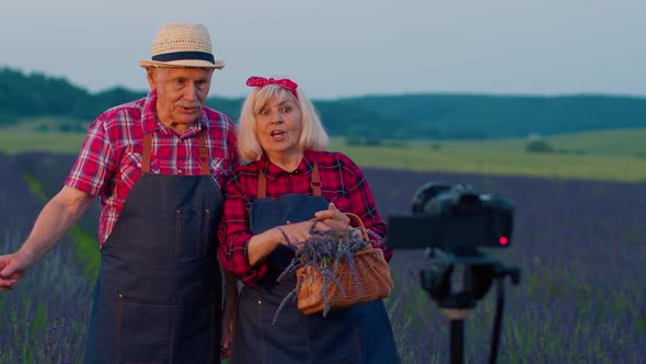 Senior Grandfather Grandmother Bloggers Recording Video Vlog Tutorial in Field of Lavender Flowers alt