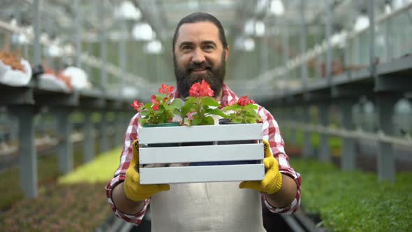 Man Holding Box of Flowers in Greenhouse Smiling, Successful Gardening Business