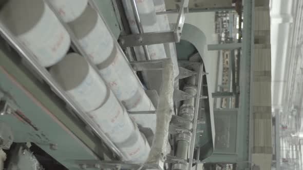 Conveyor in a Paper Mill alt
