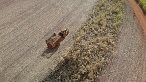 Closeup variety of shots showing harvesting machine cutting down ripe sugarcane crop ready to be tra alt