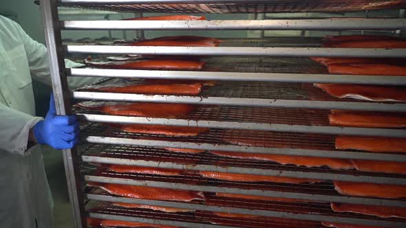 Fish industry worker handling trolley filled with salmon inside a smokehouse - Slow motion alt