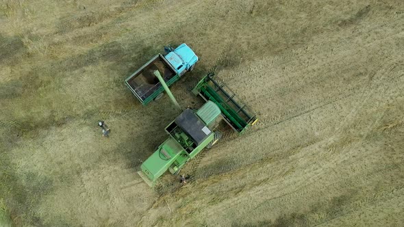 Combine harvester unloads grain to the dump truck. alt