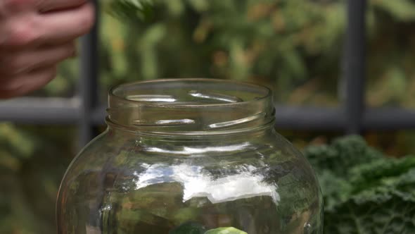 woman prepares cucumbers for canning in jar next to a window on background