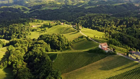 Aerial view of Austrian Vineyards in South Styria